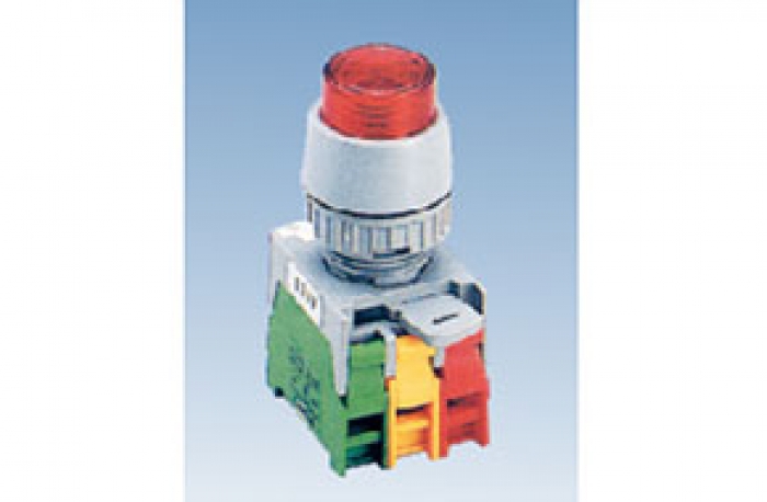 J22,J30 ILLUMINATED EXTENDED PUSH BUTTON